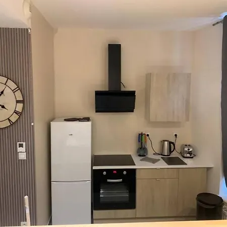 アパート T4 En Centre-ville, Proche Gare Avec Parking ヴァランシエンヌ