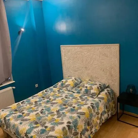 アパート T4 En Centre-ville, Proche Gare Avec Parking ヴァランシエンヌ